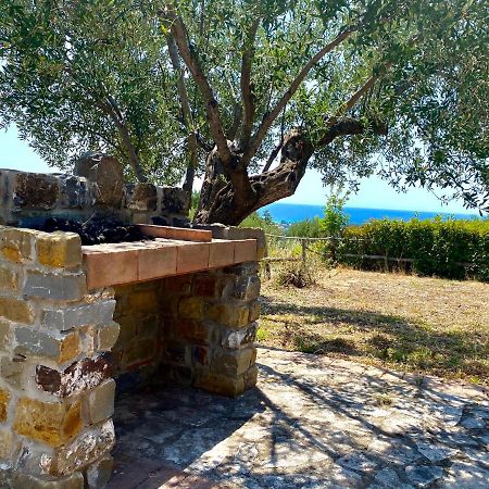 אשאה Villa Chiara מראה חיצוני תמונה